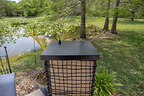 Kenroy Home 32250Brz Trellis Outdoor Floor Lamp With Black Finish, Casual Style, 51" Height, 11" Width, 11" Depth #TOP6