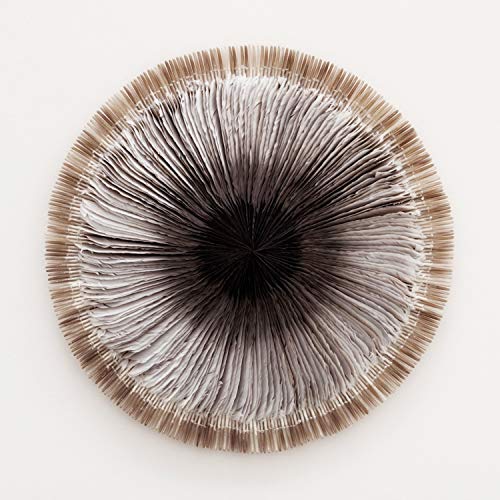 Solid Orange Light On Furnace Explained HomeAirSupply