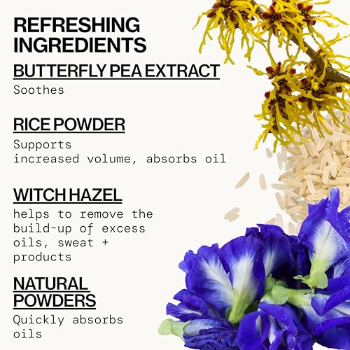 image for Pacifica Dry Shampoo Powder - Best Day Ever Waterless Shampoo & Instan