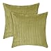 Amazon Brand - Umi 2 Stück Kordsamt Kissen Einfarbig Kissenbezüge Dekorative Kissenhülle Kopfkissen Sitzkissen Dekokissen Couchkisen für Sofa 40x40 cm Grün