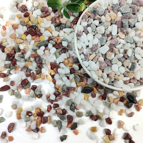Image of 5lbs Mixed Color Pebbles for Plants, 3 /8inch Small Rocks for Succulent Cactus Planters, Natural Polished Pebbles, River Rocks for Plants, Vases, Garden