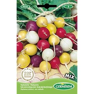 Germisem Color Mix Radijs Zaden 10 g