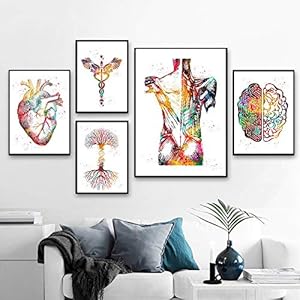 Hart Hersenen Menselijke Anatomie Poster Prints Orgel Anatomie Geneeskunde Wall Art Aquarel Art Canvas Schilderij Kliniek Medisch Kantoor Decor Foto’s Niet ingelijst