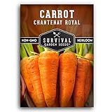 Royal Chantenay Carrot Seeds for Planting – Heirloom Short Carrots for Heavy Soil – Sweet, Tender Roots for Fall & Winter Harvests – Non-GMO, Open-Pollinated – Survival Garden Seeds (1 Pack)