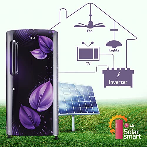 Image of LG 205 L 4 Star Inverter Direct-Cool Single Door Refrigerator (GL-B221APVY, Purple Victoria, Moist 'N' Fresh)