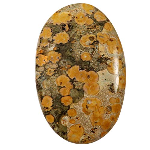 �f�����A�X �q���E �X�L�� �W���X�p�[ ��� �I�[�o�� �i�`������ ���[�X �J�{�V���� 43.1 �J���b�g Kh41-B081LGQT41