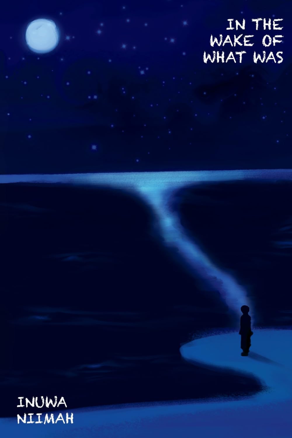 In the wake of what was: A Poetry Collection on Love, Loss, and Healing
