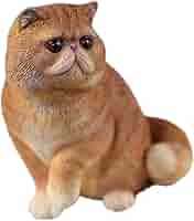 Amazon | Mr.Z 1/6 サイズ エキゾチック・ショートヘア 猫