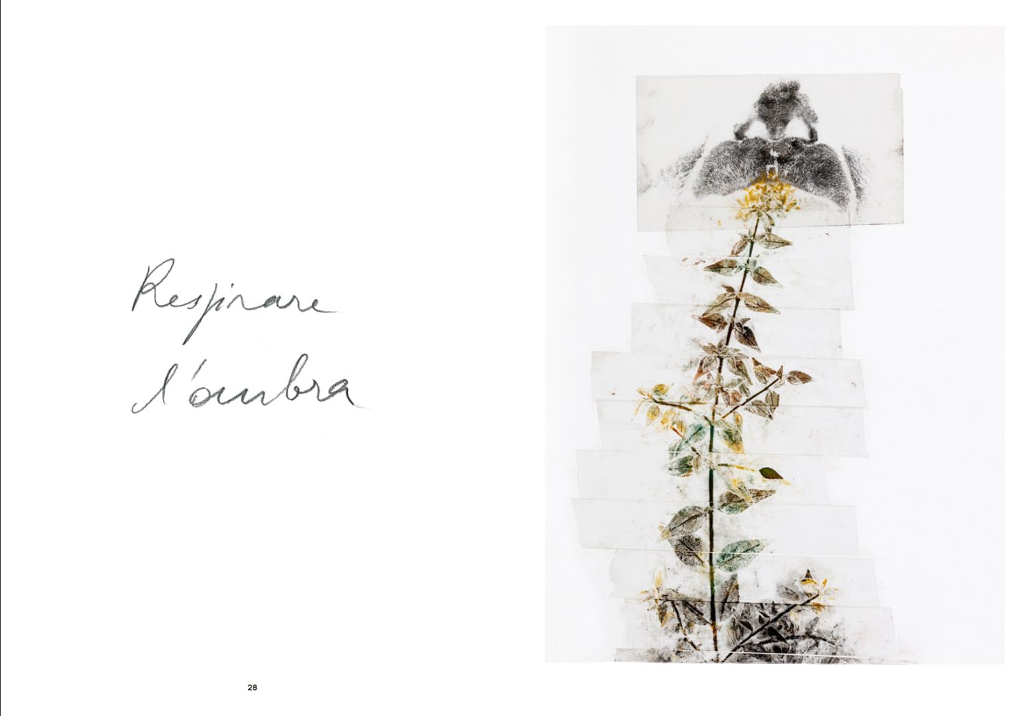 Giuseppe Penone Thoughts in the Roots /anglais: Serpentine Gallery, London
