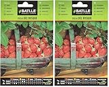 Semina da luglio ad agosto Battle - Semi Aromatici Fragole del Bosco (Semi - 20-25Cm) (Confezione da 2)