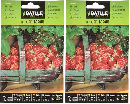 Semina da luglio ad agosto Battle - Semi Aromatici Fragole del Bosco (Semi - 20-25Cm) (Confezione da 2)