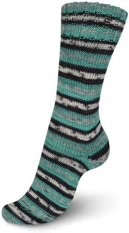 Regia 4 Ply Color 100g 07713 Celebrate