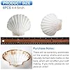 QEQEKAKA 6PCS Scallop Shells 4‘’-4.5" Natural Sea Shells White Hawaiian Scallop Shells for Baking DIY Craft Home Vase Fillers & Beach Wedding Party Decor #3