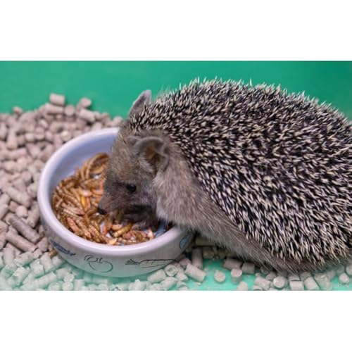 GardenersDream getrocknete Mehlwürmer- Narhaftes wildes Garten Vogelfutter