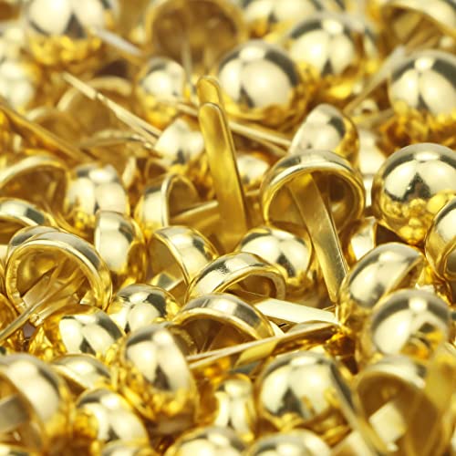 Bercoor 200 Pieces Paper Fasteners Brads, Round Metal Paper Brass Fasteners Brads For Paper Crafts, Decorative Scrapbooking, Diy Art School Project Supplies, 8 X 17Mm (Golden) #TOP3