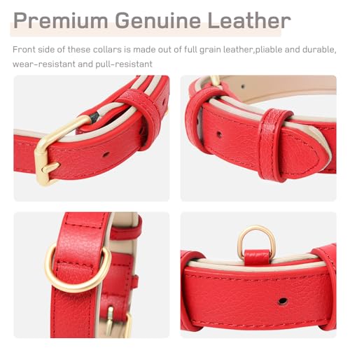 HEELE Hundehalsband, Halsband Leder mit gepolstert und echtes Leder, Verstellbar für Welpen Kleine Mittel Grobe Hunde, Neu-Rot, S