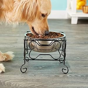   Wrought-Iron-Stand-with-Single-Stainless-Steel-Bowl-Size-Medium-7-H-x-95-W-x-95-D