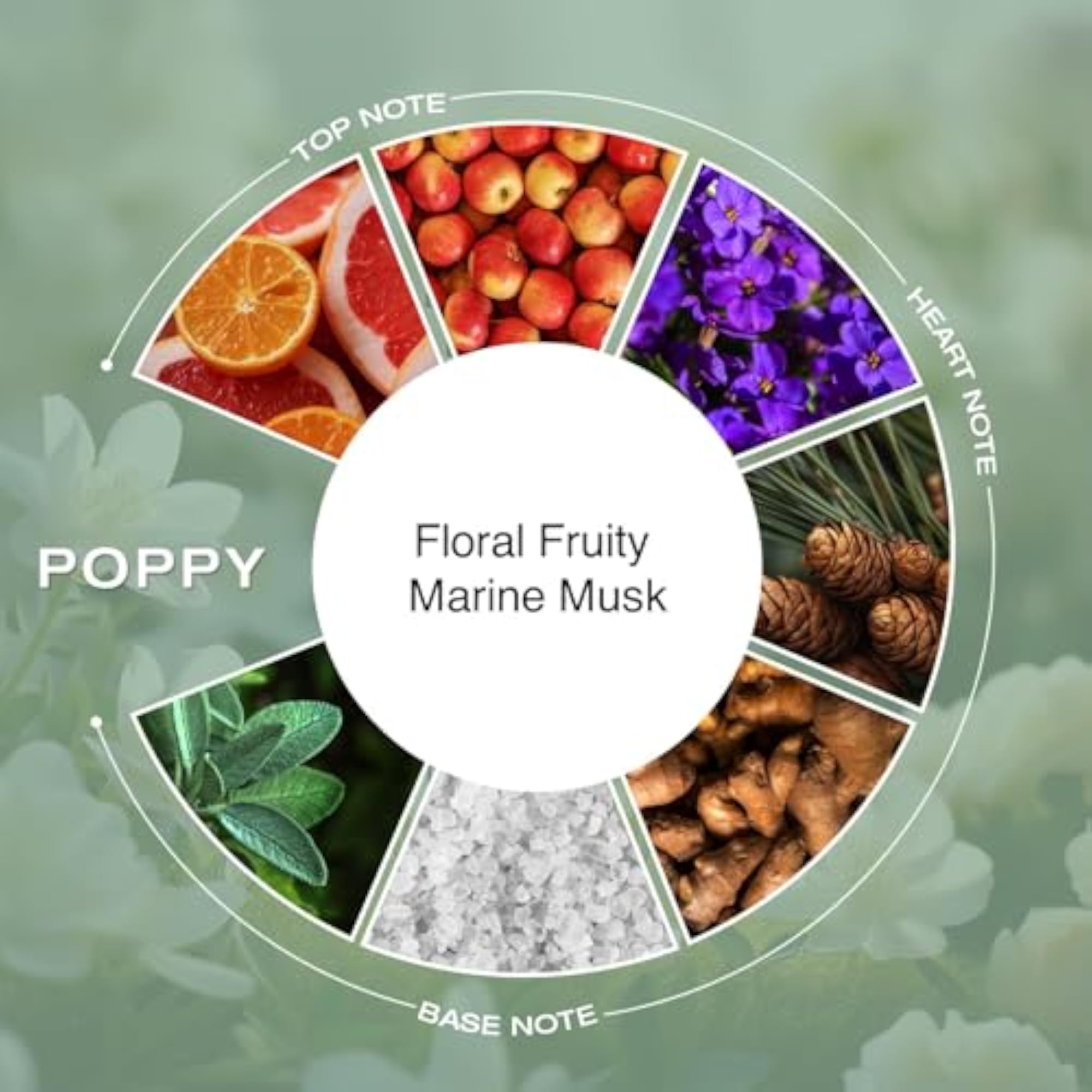 Petal & Poppy Perfume Combo 100ml Each, Floral Gift