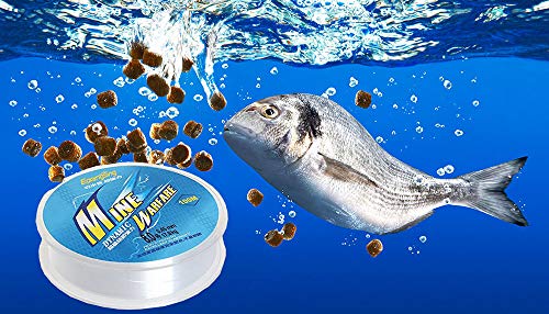 بيتر جوني خيط صيد شفاف من النايلون 100 متر، 0.45 ملم، سلك أحادي الخيط غير مرئي قوي للتوتر، للاستخدام في صيد الأسماك، صناعة المجوهرات، بناء النماذج، الحرف اليدوية (17.8 كجم/39.24 رطل)