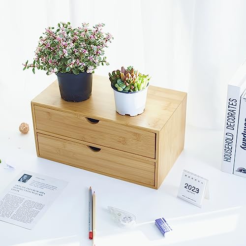 Charmewooden 2 DRAWERS Makeup Storage Drawer 2 Drawers Tabletop Storage Organization Box Home Office Workspace Bathroom Toiletries Supplies No Assembly Required thumb #3