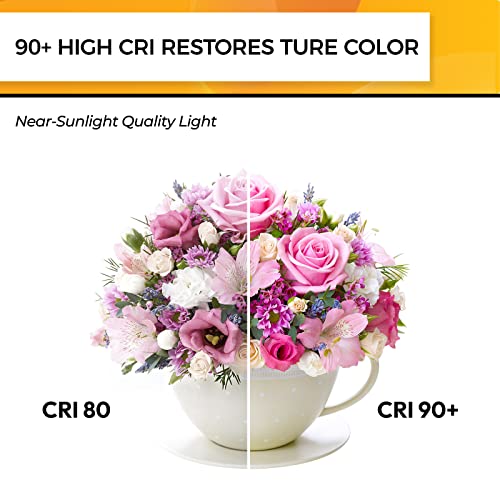 Hizashi E12 Led Bulb 40W Dimmable,G16.5 Globe Light Bulbs, Candelabra Led Light Bulbs Warm White 2700K, Light Bulbs For Chandeliers And Ceiling Fan, Cri 90+, 420Lm, 110V-130V, 6 Pack #TOP2