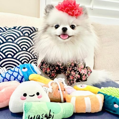 Nocciola Sushi-Hundespielzeug für kleine bis mittelgroße Hunde, niedliches Plüschspielzeug mit Tasche, quietschendes Spielzeug für kleine bis mittelgroße Hunde, 10 Stück