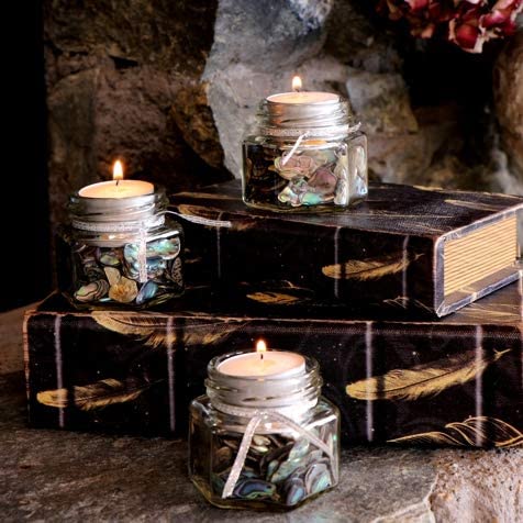 Abalone (Pāua) Shell Pieces For Crafts, Jewelry Making, Resin Art, Inlay, Home Decorations, Fishtank Supplies, Diy Projects - Satin,Large-1.59"-2.55"- 7.05Oz (200Grams) #TOP5