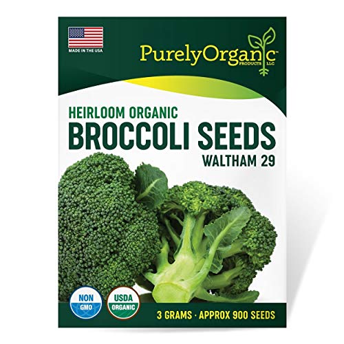 Purely Organic Products Purely Organic Heirloom Broccoli Seeds (Heirloom Waltham 29) Approx 900 Seeds