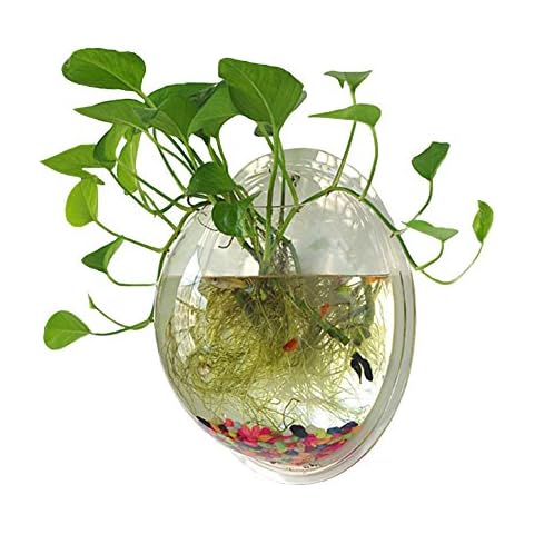 Sweetsea Wandmontiertes Fischglas, Betta-Aquarium, Wanddekoration, Pflanze, Fischblase - transparent (mittel) Cover