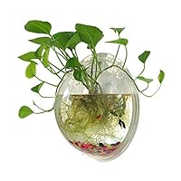 Algopix Similar Product 18 - Sweetsea Hanging Wall Mounted Fish Bowl