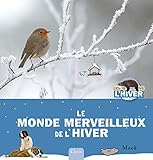  LE MONDE MERVEILLEUX DE L\'HIVE