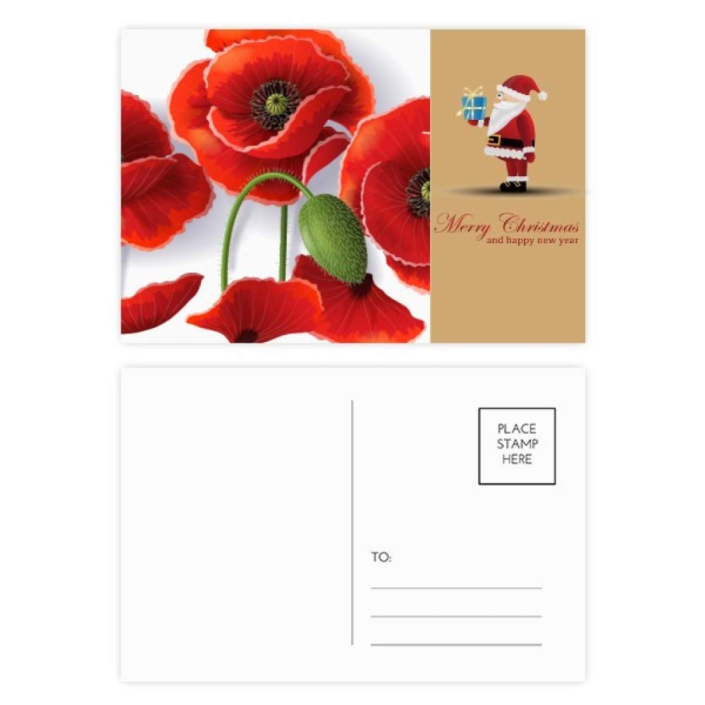 Cartes postales coquelicot fleurs rouges lot de 20 à offrir pour les fêtes