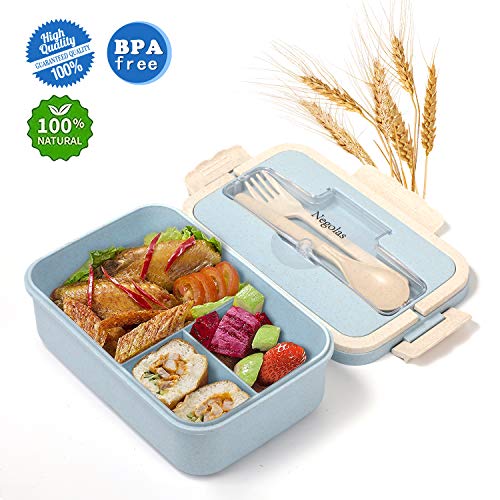 Best Bento Box For Kids Dishwasher Safe