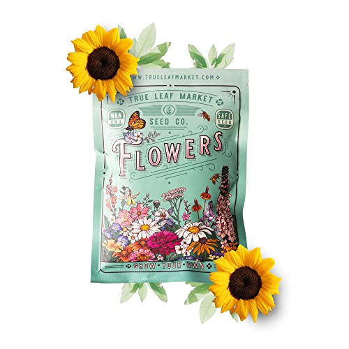 400+ Huge Organic Mammoth Grey Stripe Sunflower Seeds For Planting - Helianthus Annuus - Attract Hummingbirds, Butterflies, Bees, & More - Large Flowers Produce Edible Seeds - Bulk Sun Flower Garden #TOP1
