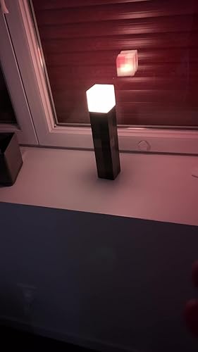 Wand Fackel Nachtlicht Mit 8 Farben - Flammen-Effekt Mit Fernbedienung & Timer