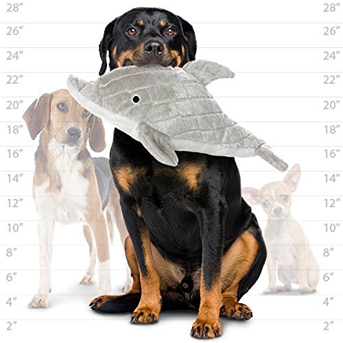 Mighty- Ocean Dolphin - Squeaker-Multiple Layers. Made Durable, Strong & Tough. Interactive Play Dog Toy (Tug, Toss & Fetch). Machine Washable & Floats #TOP3