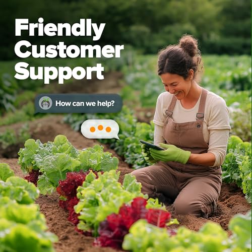 Image of HOME GROWN Lettuce Seeds 5 Variety Mix 3950+ Bulk Pack Heirloom Non-GMO, High Germination, Romaine, Bibb, Buttercrunch, Iceberg, Black Seeded Simpson, Indoor Outdoor Hydroponic Garden (Lactuca sativa)