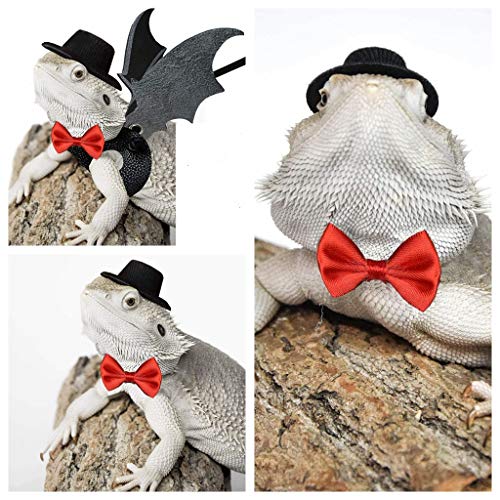 Valentine's Day Bearded Dragon Lizard Leash Harness Hat Bowtie Set - Valentine's Day Hat + Bowtie + 3 Pack Harness for… - Image 7