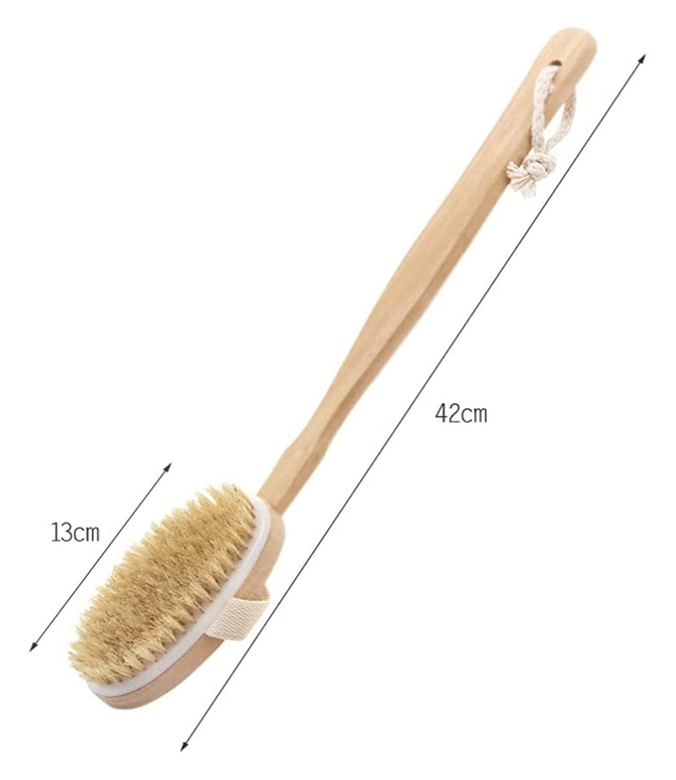 Cepillo de cerdas de 2 uds, Cepillo de Ducha de Mango Largo, Cepillo Corporal seco y húmedo, Cepillo Exfoliante, Cepillo masajeador para Suavizar la Celulitis, cepillos corporales y de baño