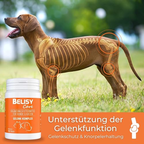 BELISY natürliche Gelenktabletten für Hunde - mit Grünlippmuschel, Glucosamin, Teufelskralle & MSM - Gelenk & Knochenschutz Tabletten für Hunde Gelenk Komplex (150g)