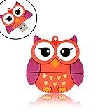 QICAIHU Novelty Big Eyes Owl Shape Design 32GB USB 2.0 Animal Flash Drive Cute Memory Stick Thumb Drive Data Storage Pendrive Cartoon Jump Drive Gift