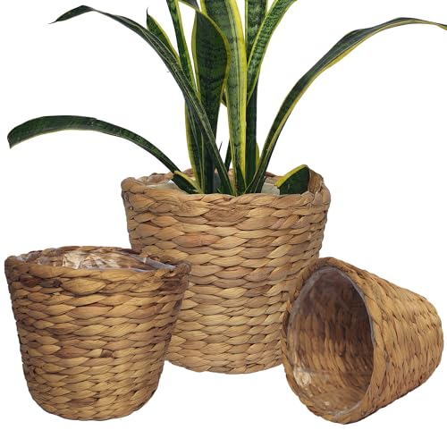 Set of 3 pcs Stylish Seagrass Planter Basket - Natural
