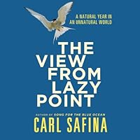 Algopix Similar Product 17 - The View From Lazy Point