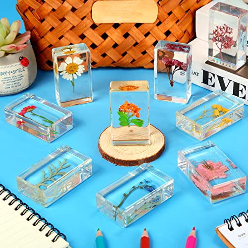 Fabbay FM-FABBAY-1395 9 Pieces Large Pressed Flower Paperweight Flower In Resin Specimen Collection, Desk Resin Paperweights Kids Square Paperweight Cube Science Educational Toy Desk Decoration thumb #3