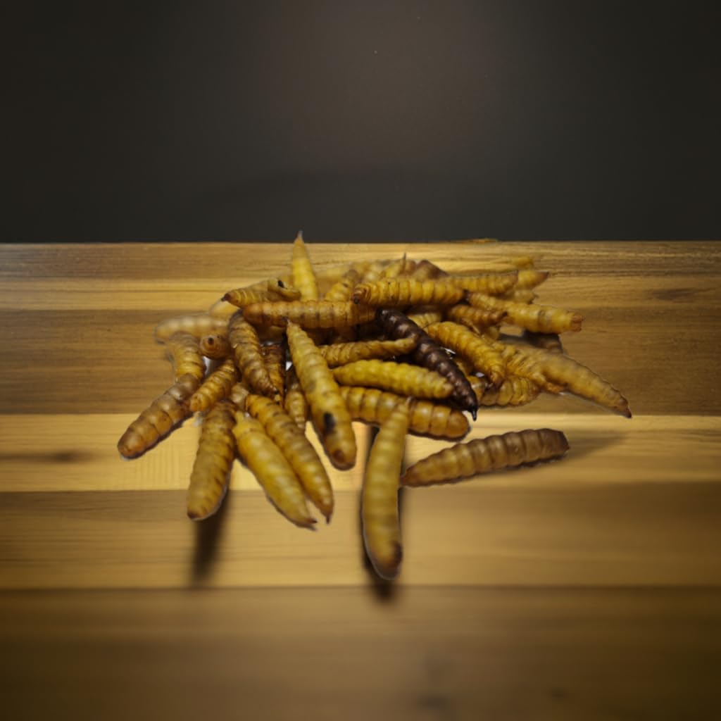 Larva Mosca Soldado Negra BSF deshidratado 500gr