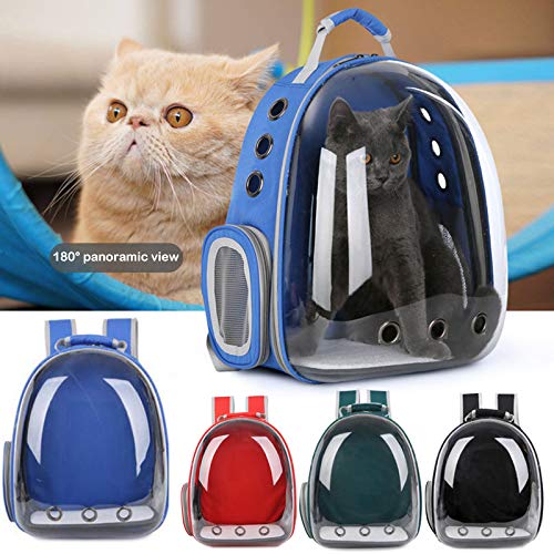Dheera Bolsa para transporte de gatos, bolsa respirável para transporte de animais de estimação, moc