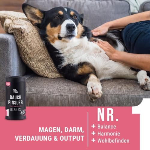 Tales & Tails - Bauchpinsler Verdauungs-Snack für Hunde | Für Allergiker Hunde | Getreidefrei | 1 Dose - 1 x 325g