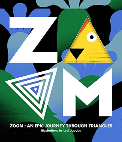 Preisvergleich Produktbild ZOOM - An Epic Journey Through Triangles