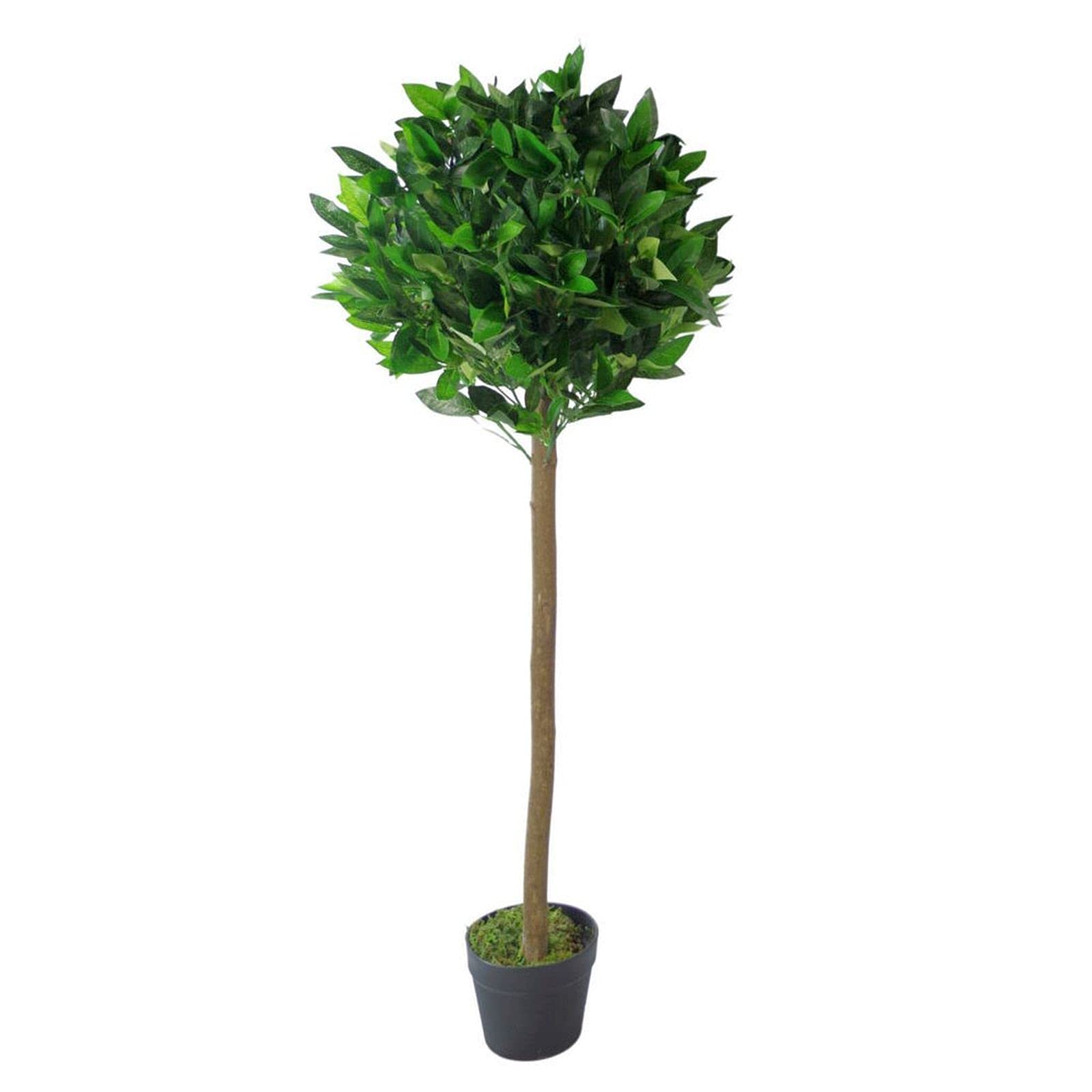Blue Pirate Green Artificial Bay Laurel Topiary Tree 120Cm Trunk
