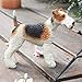 Estatua de perro Fox Terrier de resina Imagen de Estatua de perro Fox Terrier de resina